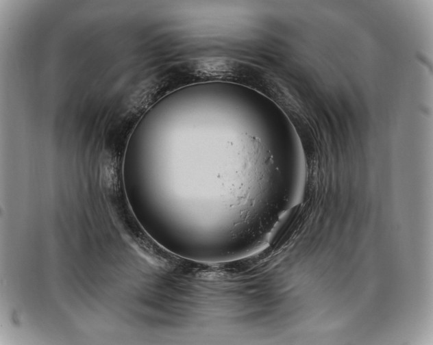 X0000097290408200802151420