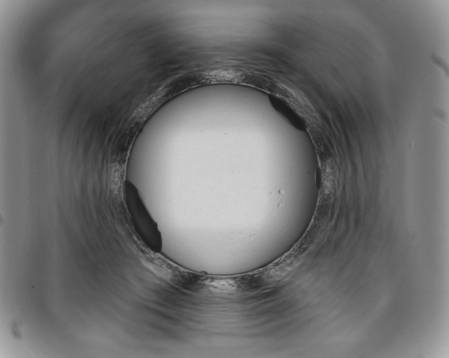 X0000097290409200802151420
