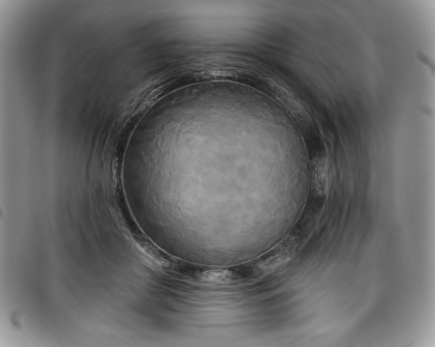 X0000097290410200802151420