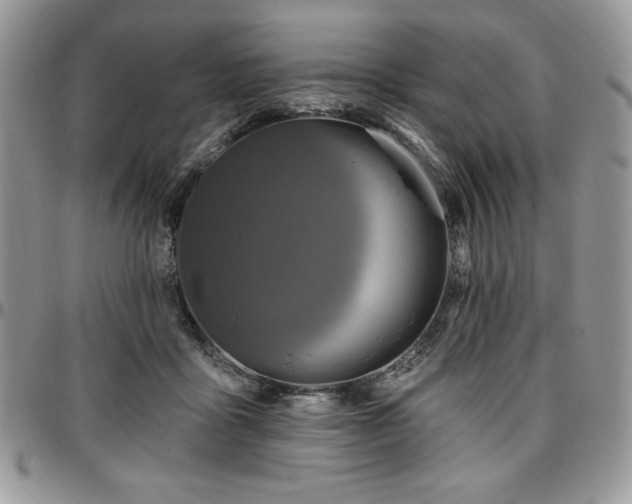 X0000097290411200802151420