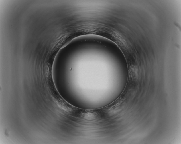 X0000097290412200802151420