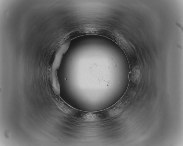 X0000097290413200802151420