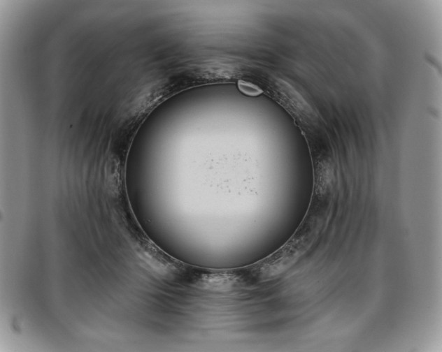 X0000097290414200802151419