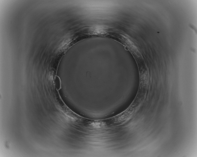 X0000097290415200802151419