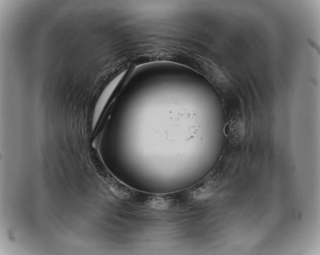 X0000097290416200802151419