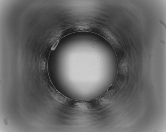 X0000097290417200802151419
