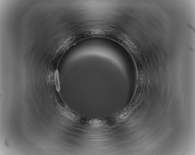 X0000097290419200802151419