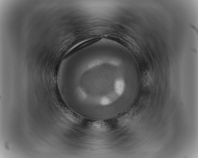 X0000097290420200802151419