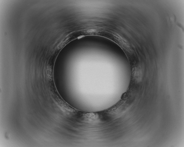 X0000097290421200802151419