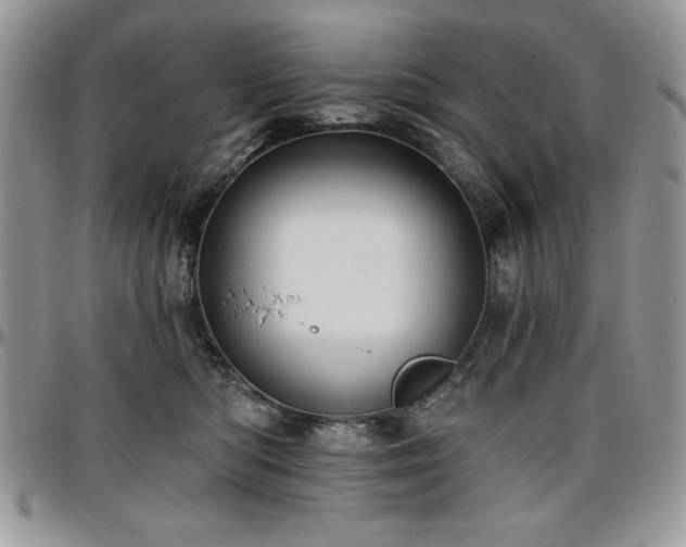 X0000097290422200802151419