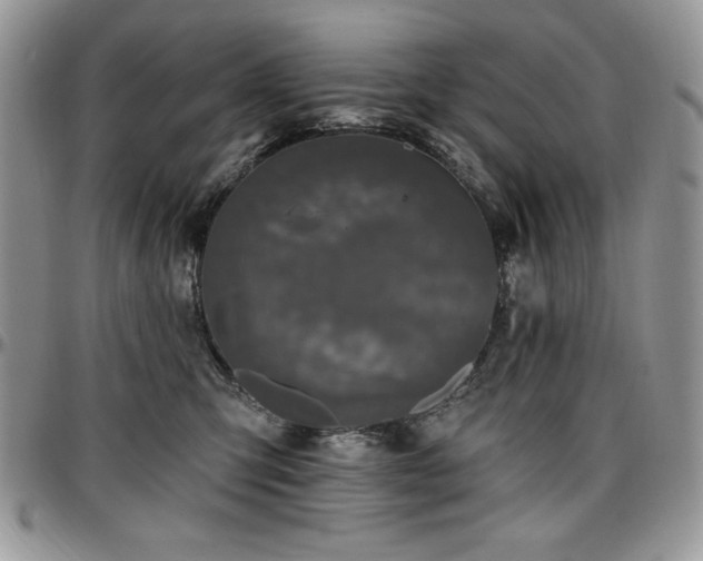 X0000097290423200802151419