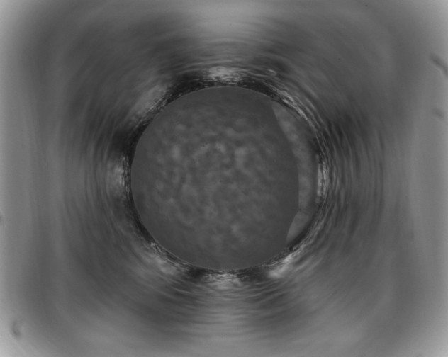 X0000097290424200802151419