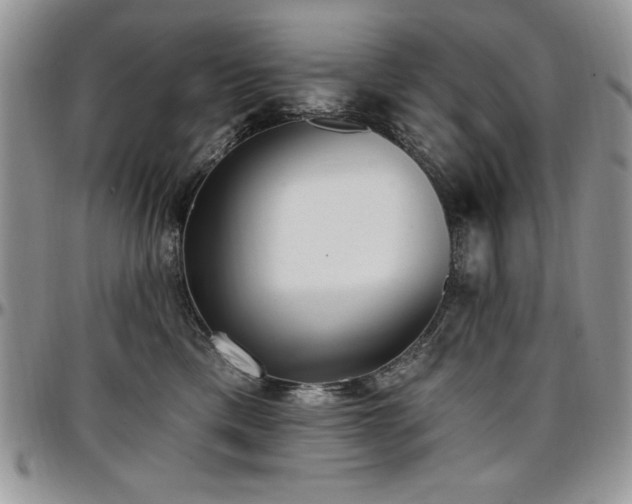 X0000097290425200802151419
