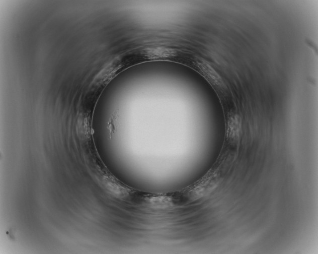 X0000097290426200802151419