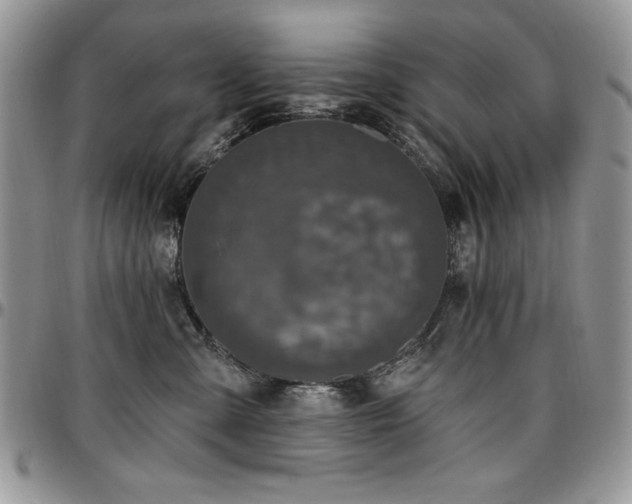 X0000097290427200802151419