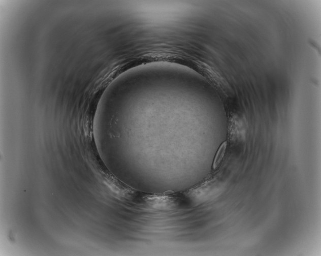X0000097290428200802151419