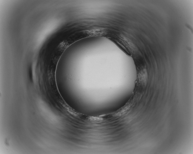 X0000097290429200802151419