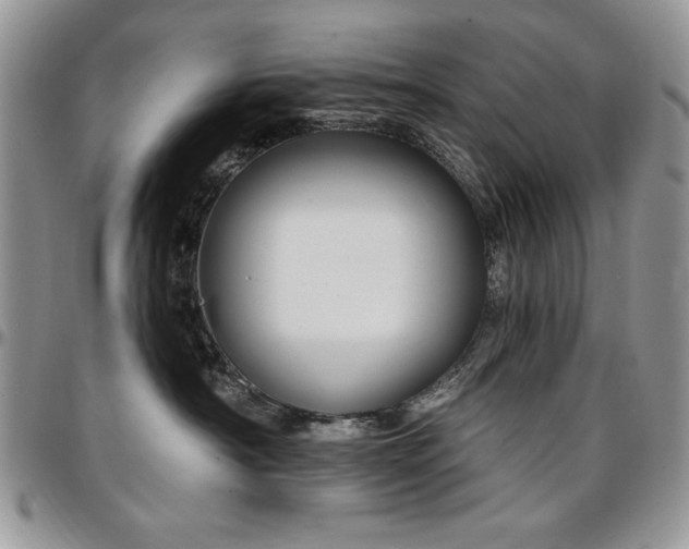 X0000097290430200802151419