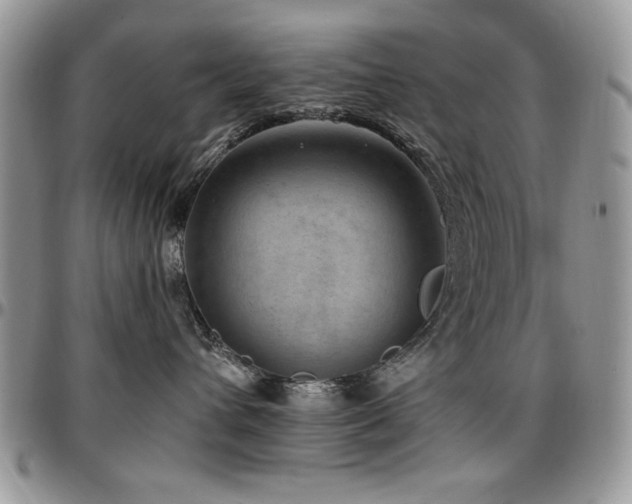 X0000097290432200802151419