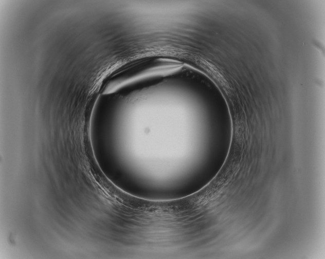X0000097290434200802151418