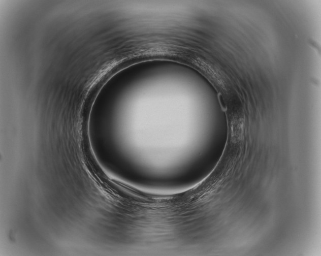 X0000097290436200802151418
