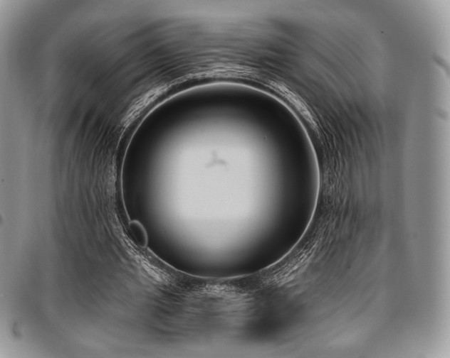 X0000097290437200802151418