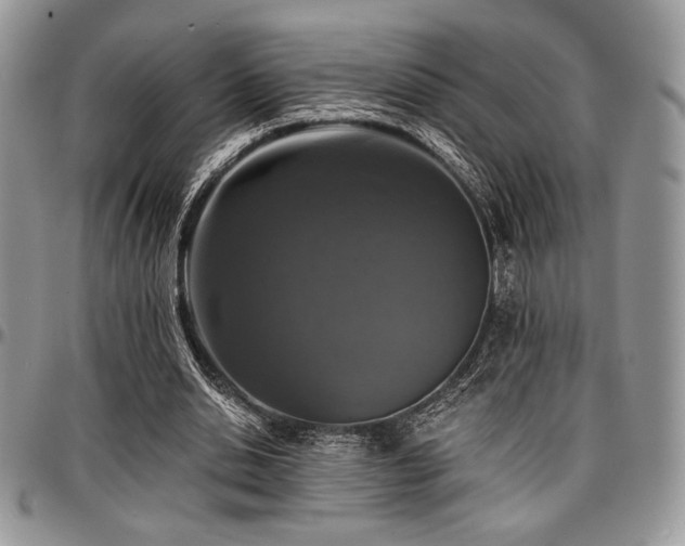 X0000097290438200802151418