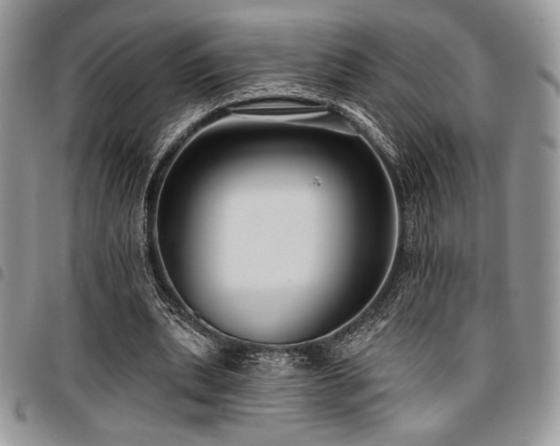 X0000097290439200802151419