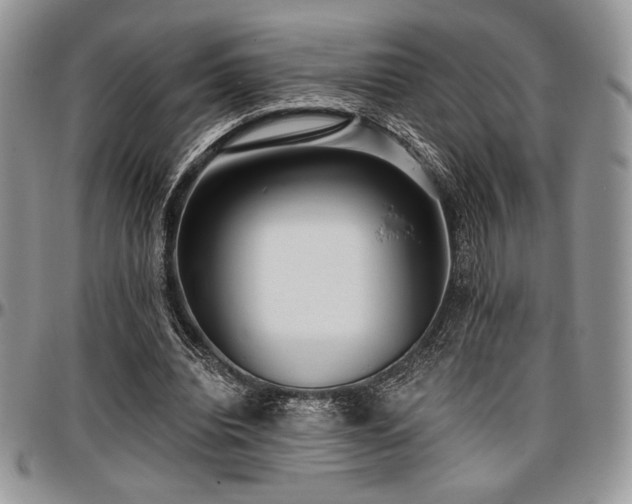 X0000097290440200802151419