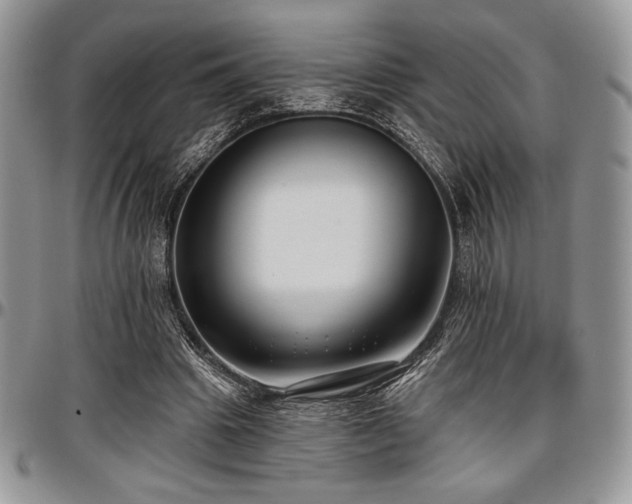 X0000097290441200802151419