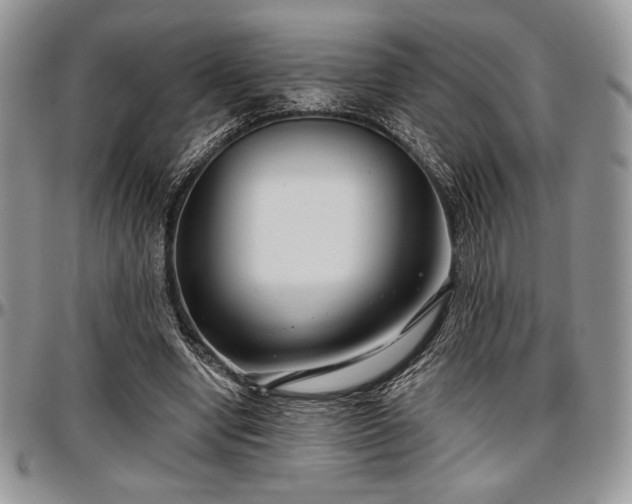 X0000097290442200802151419