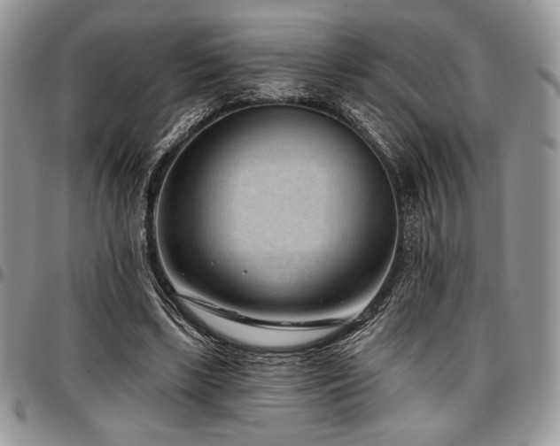 X0000097290443200802151419