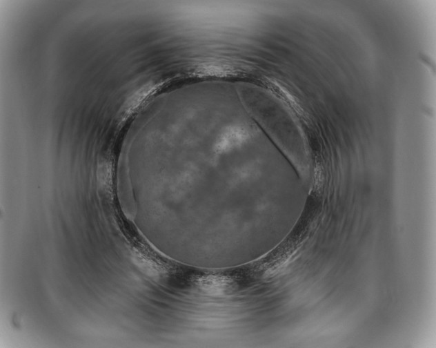 X0000097290444200802151419
