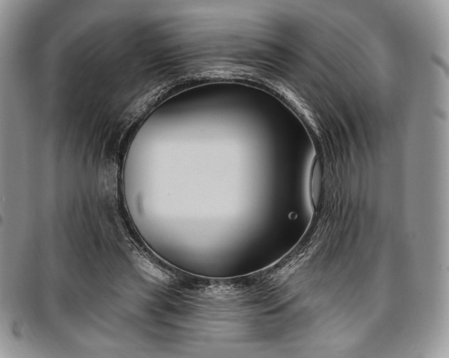 X0000097290445200802151419