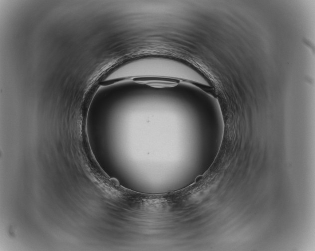 X0000097290446200802151419