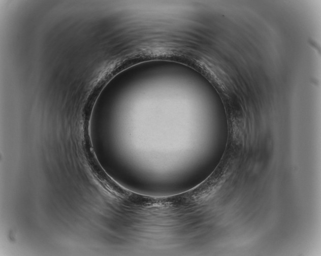 X0000097290447200802151419