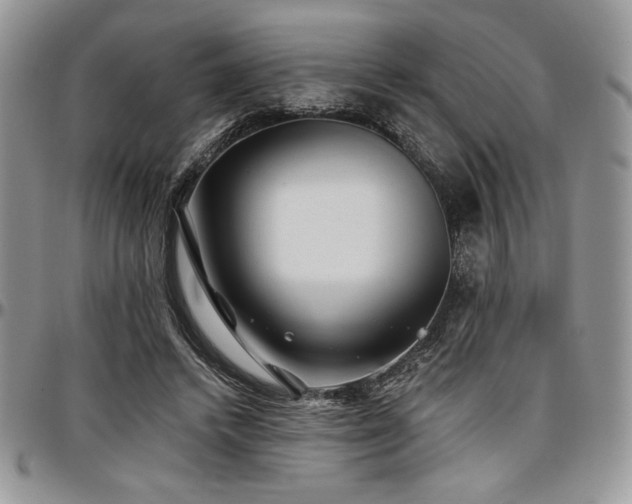 X0000097290448200802151419