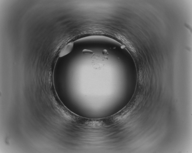 X0000097290449200802151419