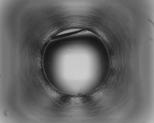 X0000097290450200802151419