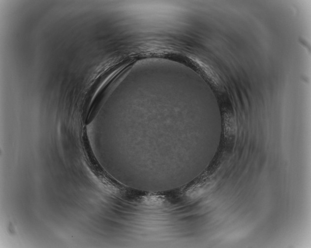 X0000097290451200802151419