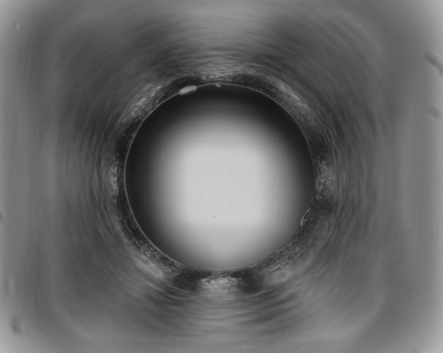 X0000097290452200802151419