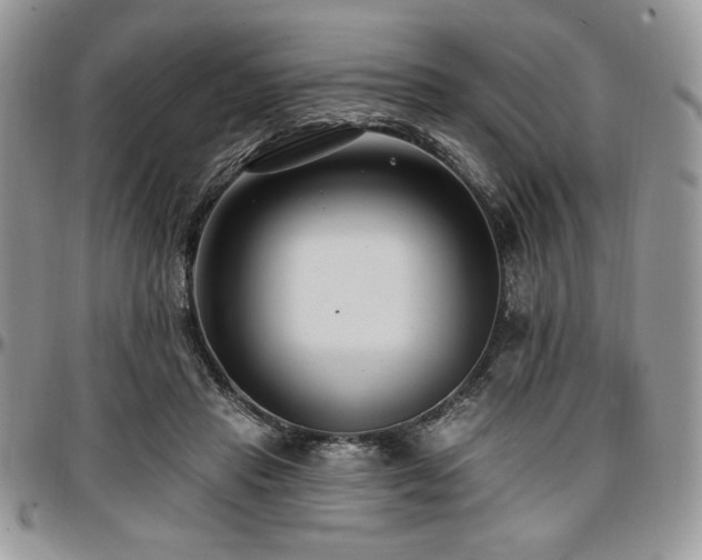 X0000097290453200802151419