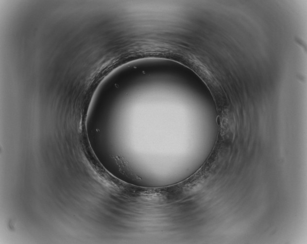 X0000097290454200802151419