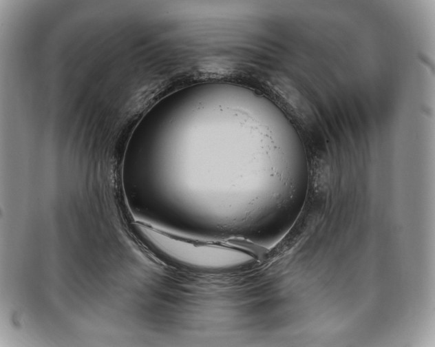 X0000097290455200802151419