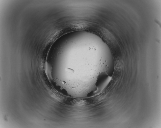 X0000097290456200802151419