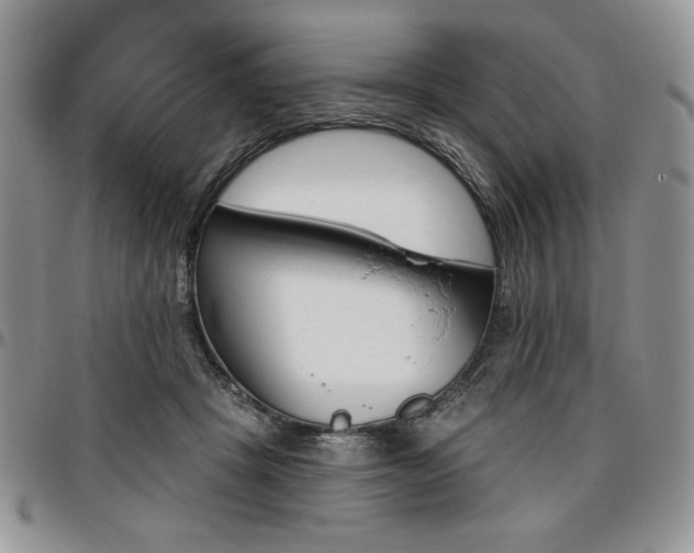 X0000097290457200802151419