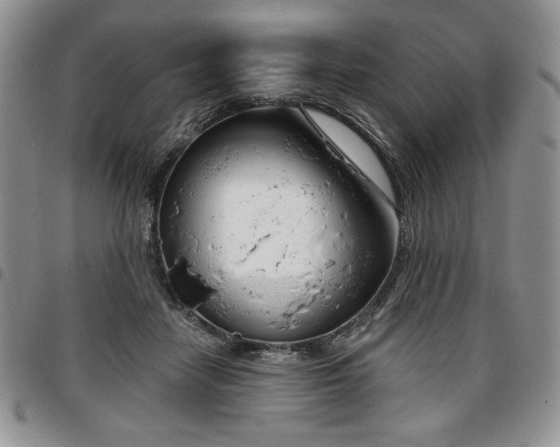 X0000097290458200802151419