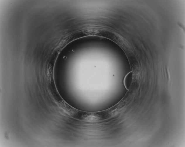 X0000097290460200802151419