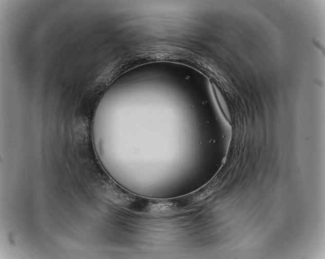 X0000097290461200802151419