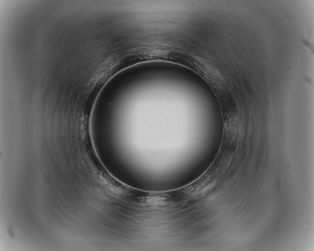 X0000097290462200802151419